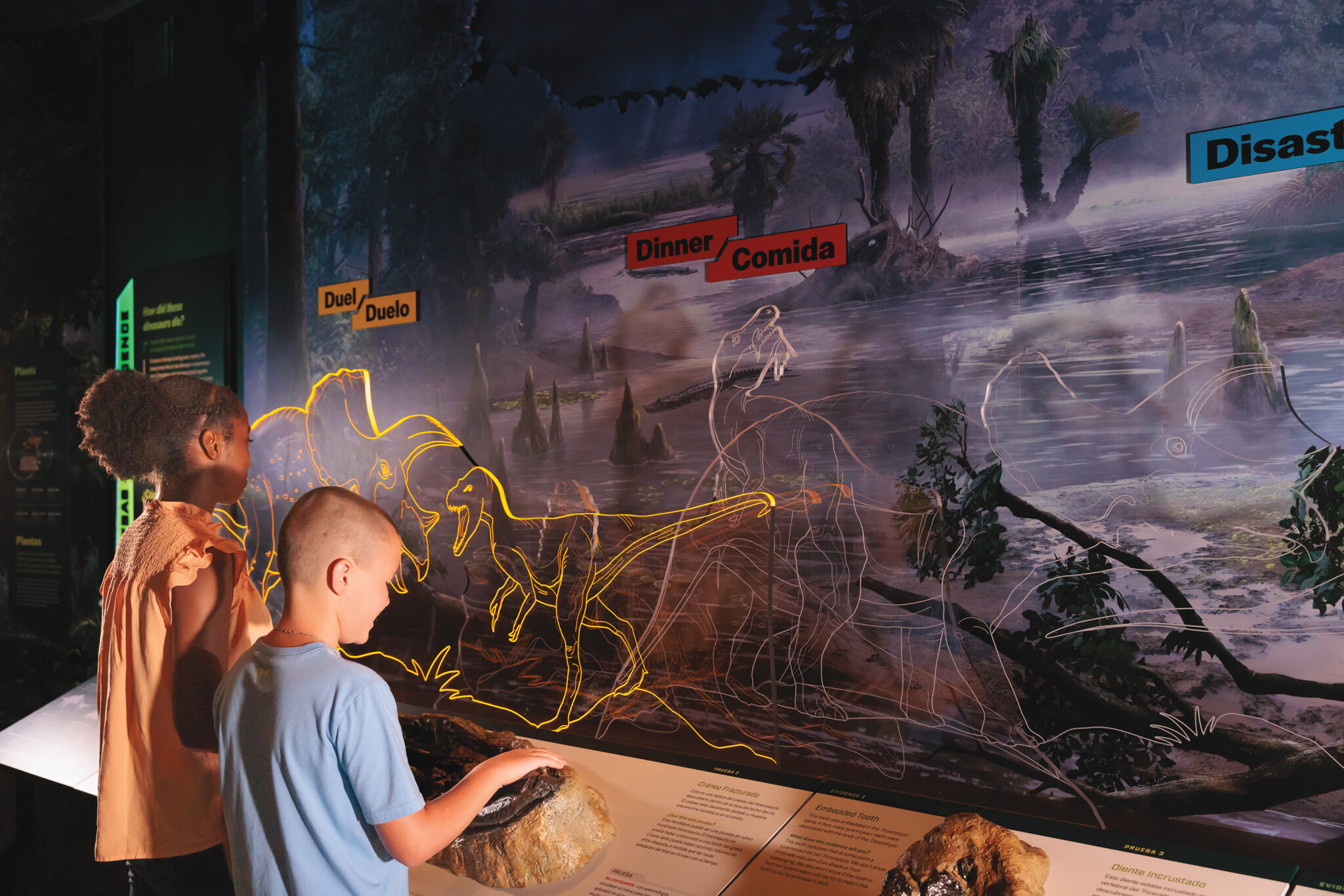 Researchers at work in the paleontology lab, bringing ancient histories to light.